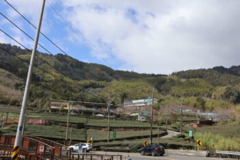 台湾阿里山茶畑